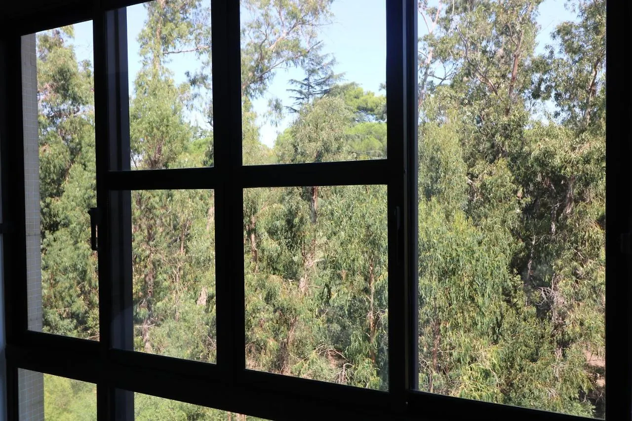 Treetops Lisbon Apartment
