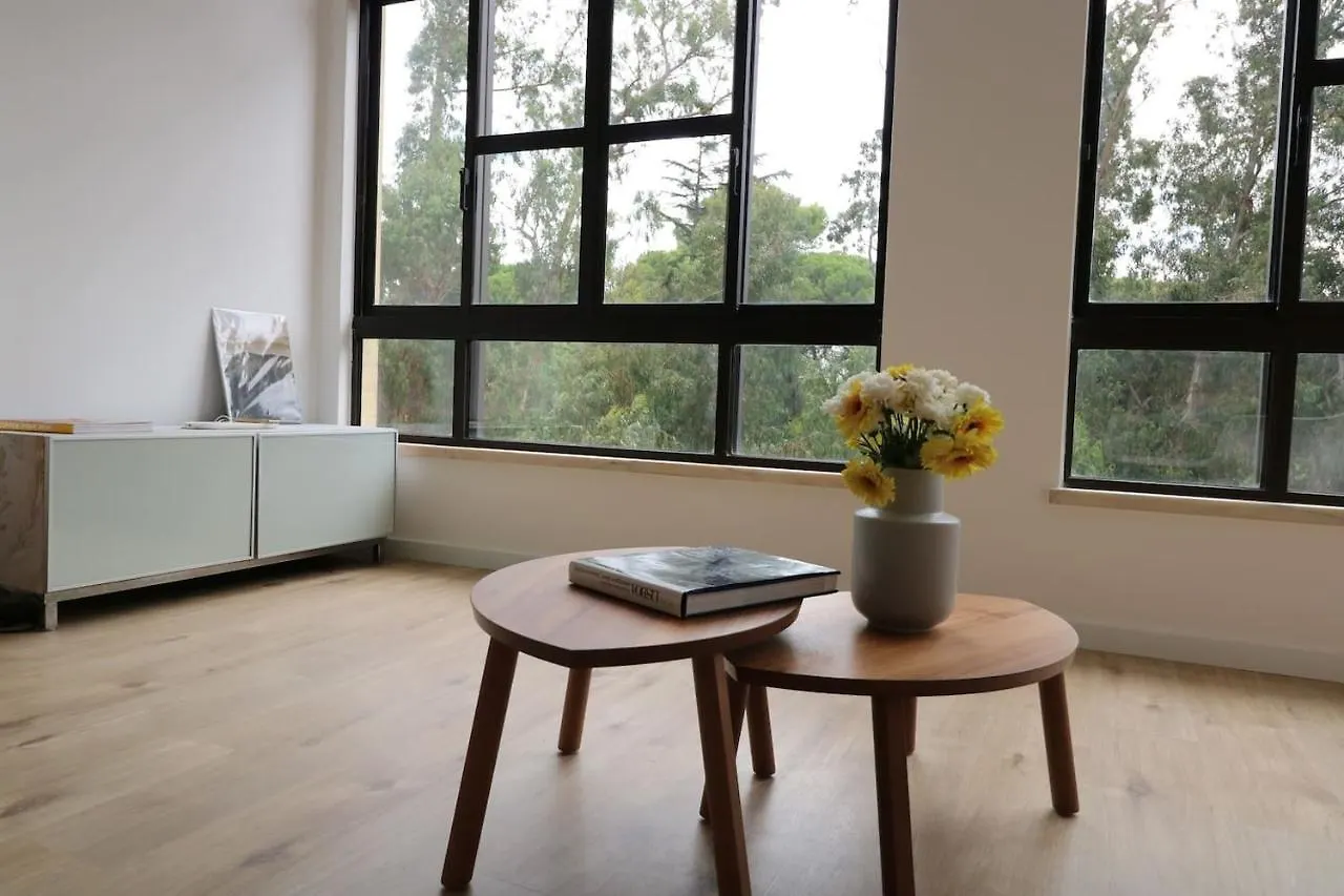 Treetops Lisbon Apartment contacts